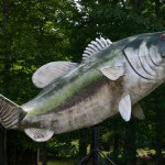 Where We Can Find Largemouth Bass